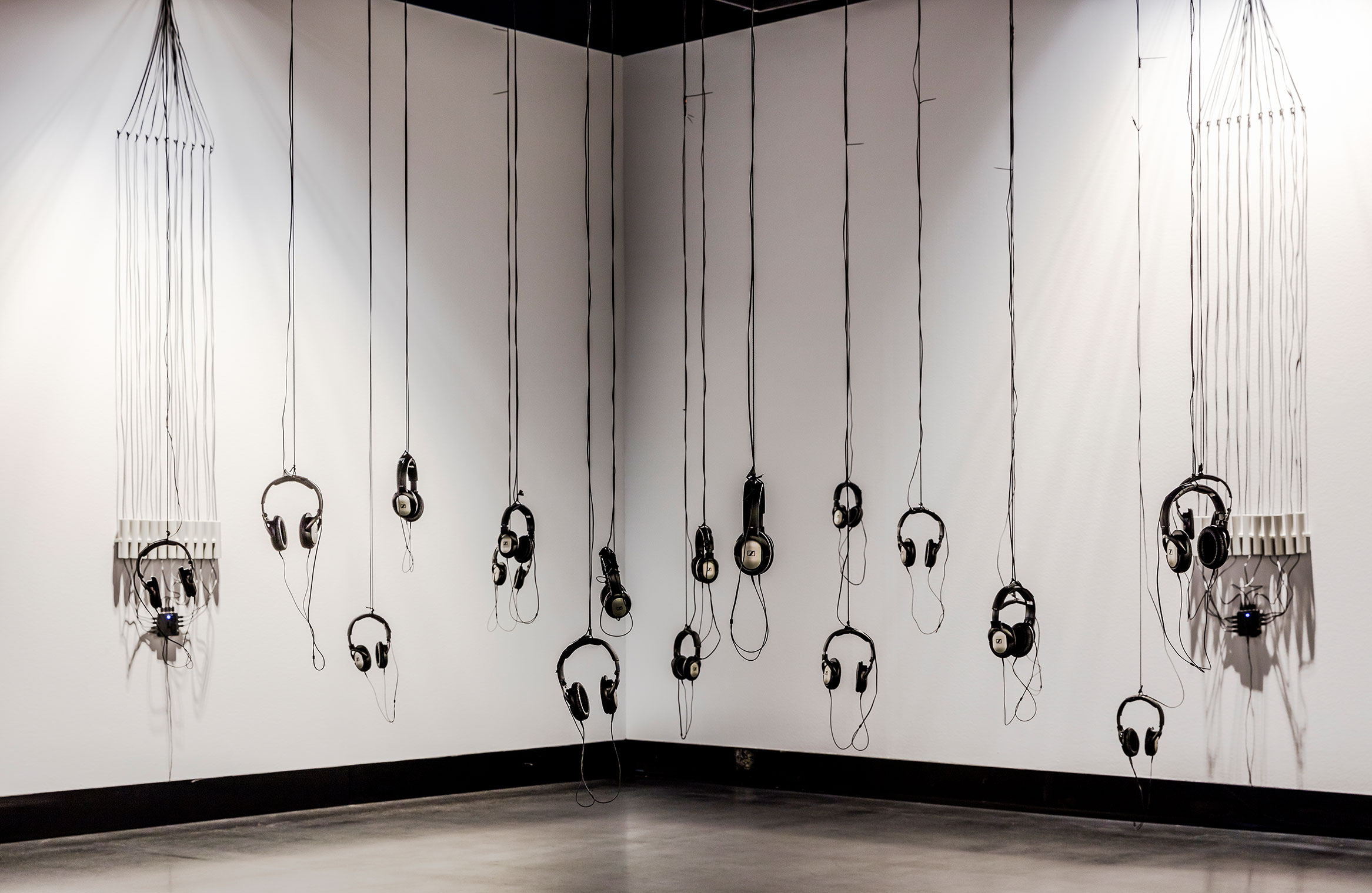 Waldprotokolle installation view