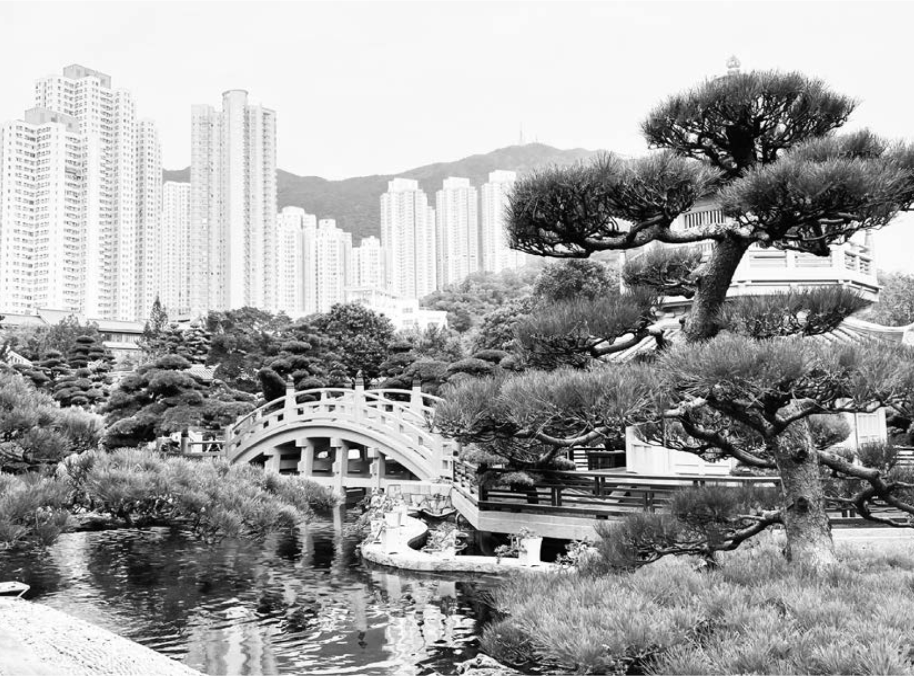 Bonsai garden in Hong Kong