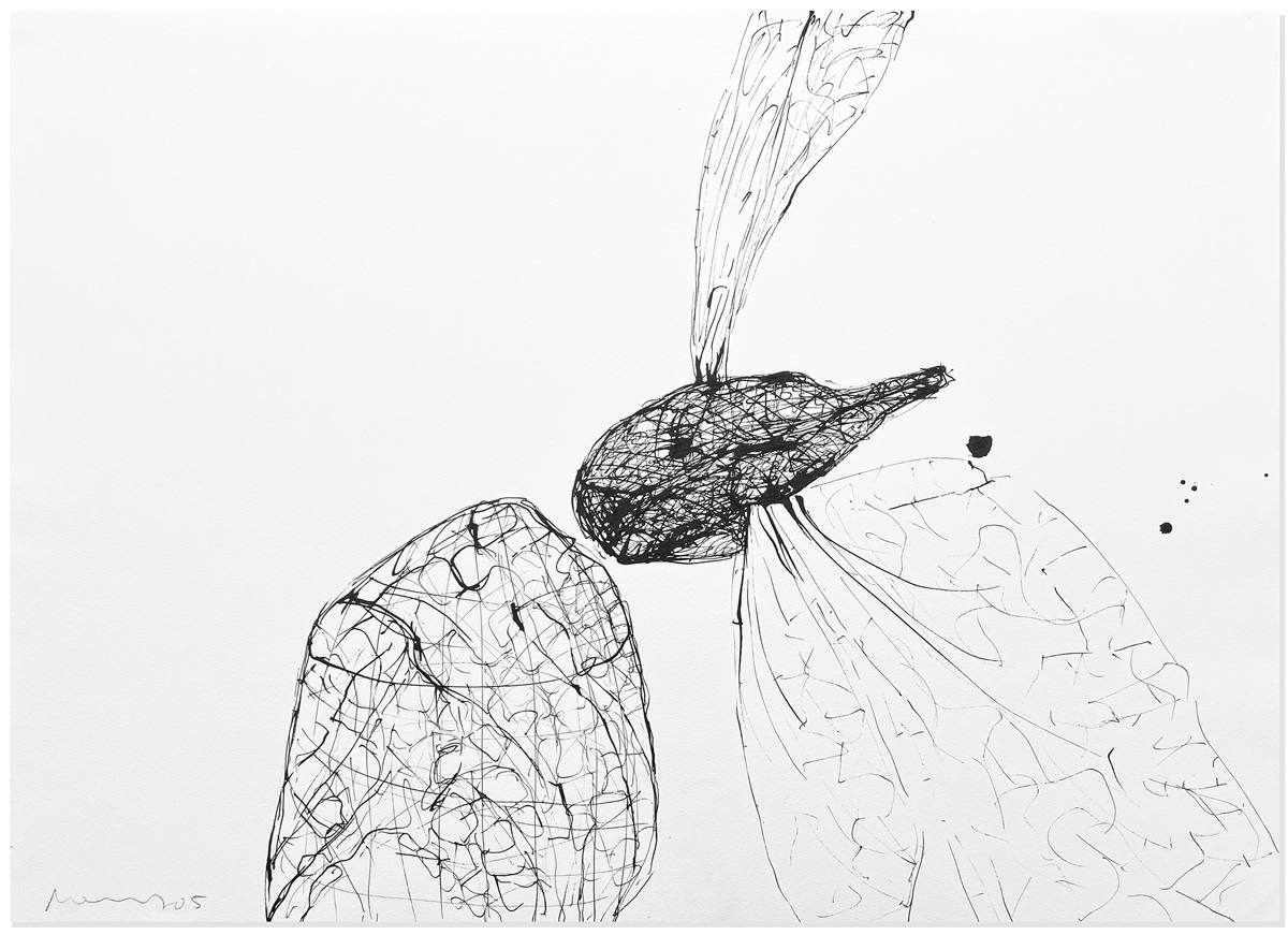 Florian Mehnert, Dragonfly Ink Drawings, 1997-2005