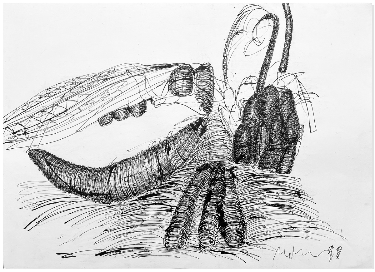 Florian Mehnert, Dragonfly Ink Drawings, 1997-2005