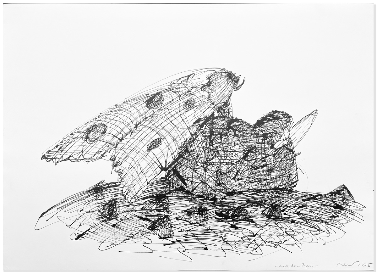 Florian Mehnert, Dragonfly Ink Drawings, 1997-2005