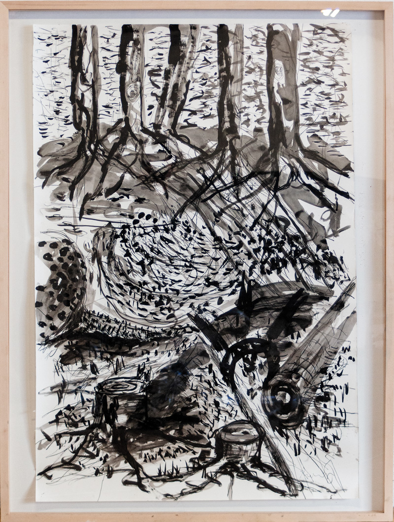 Florian Mehnert, forest drawing detail
