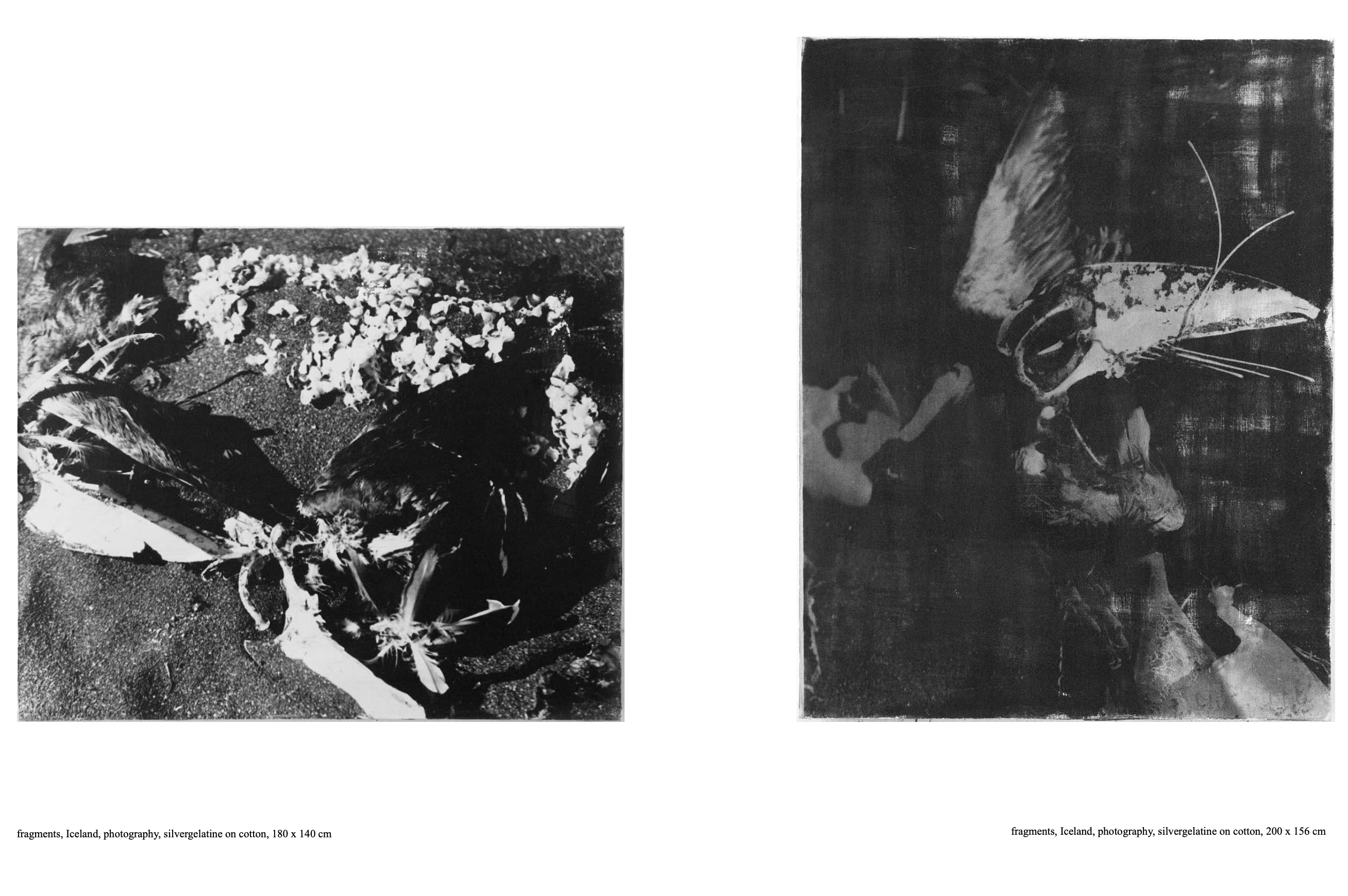 Fragments, Iceland label screenshot