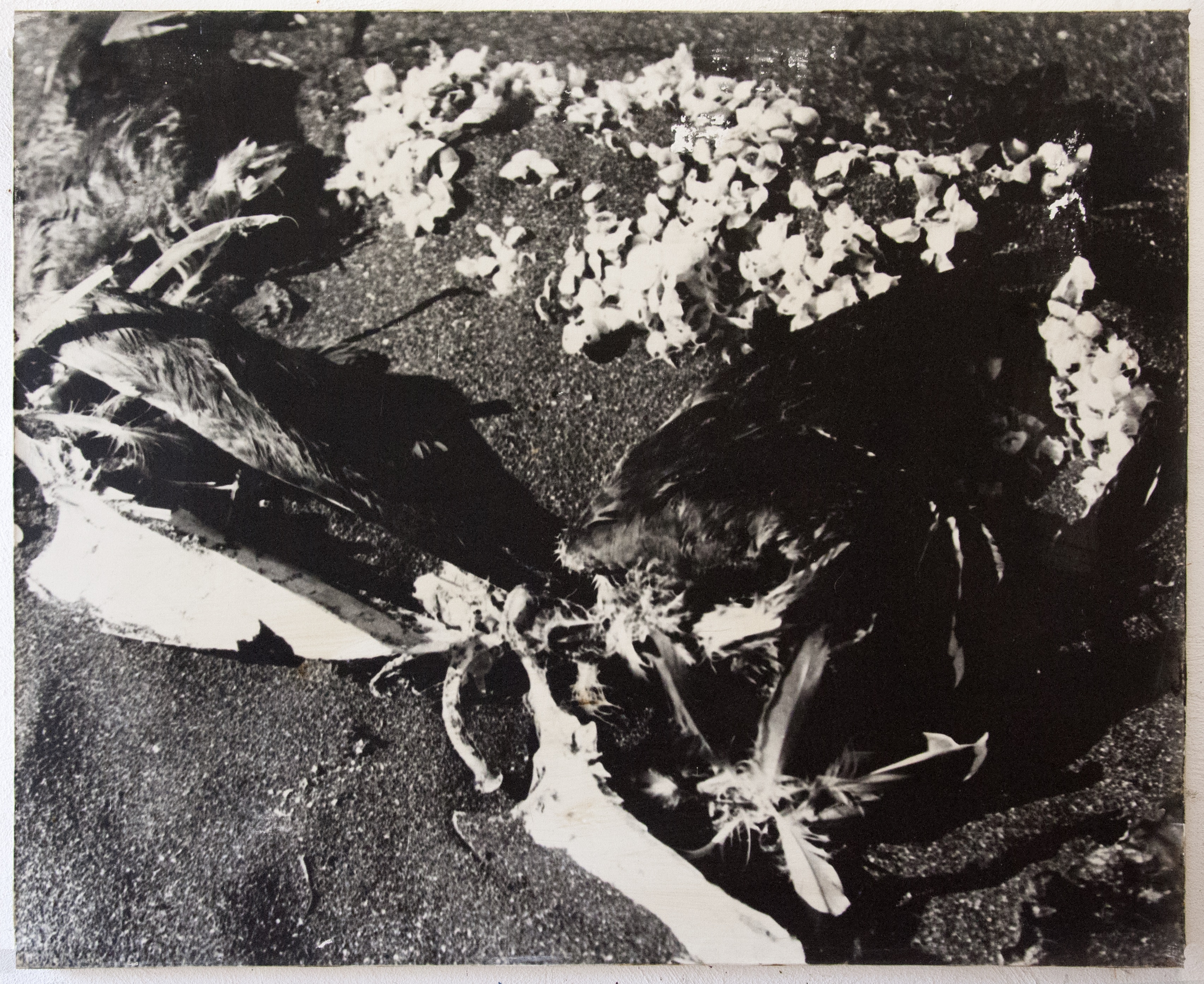Fragments, Iceland, photography on cotton