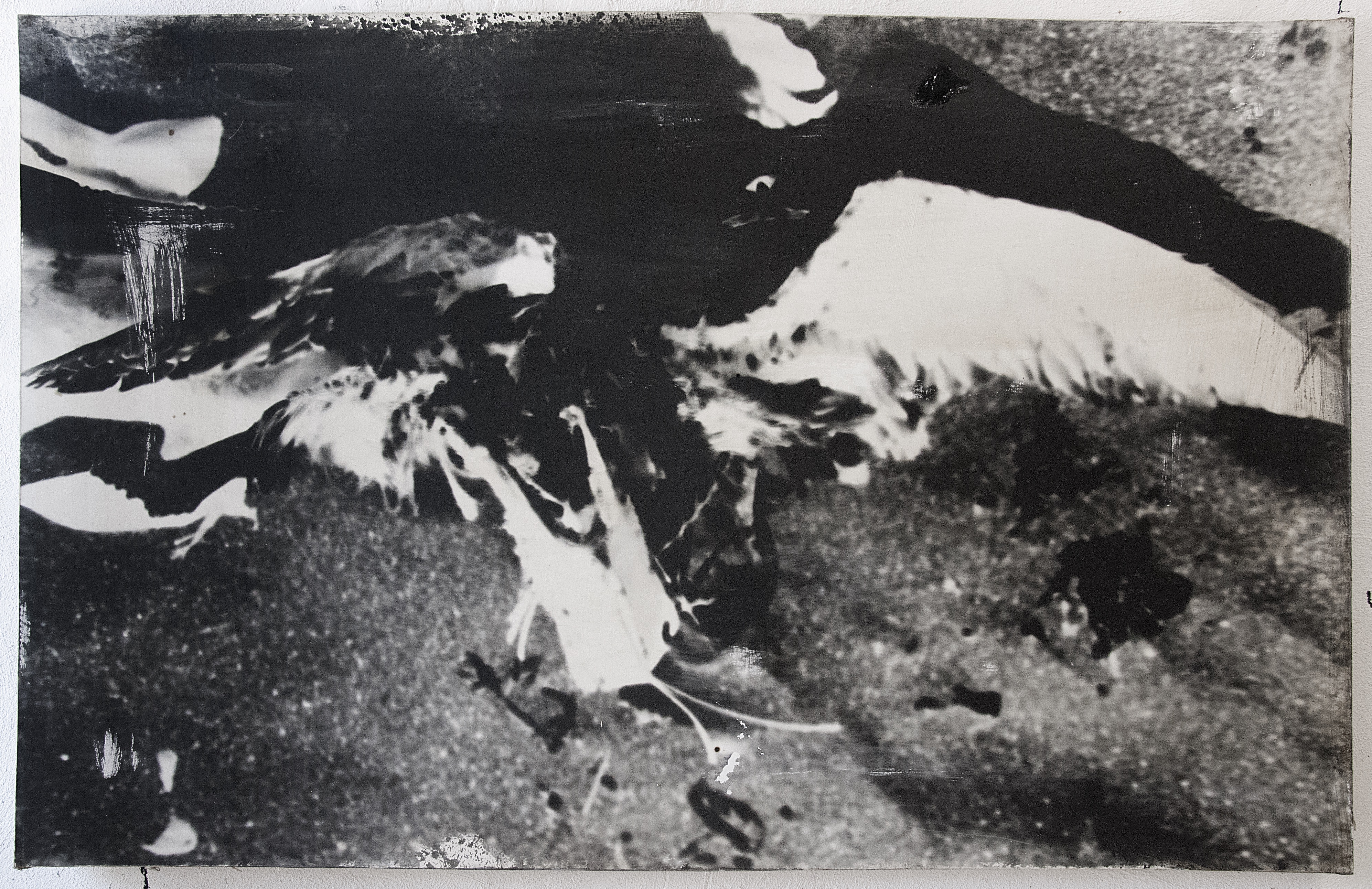 Fragments, Iceland, photography on cotton