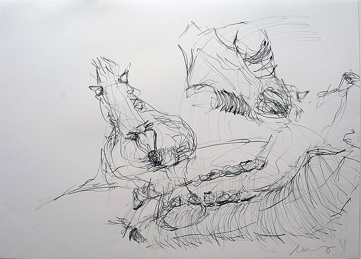 Florian Mehnert, Sus Scrofa