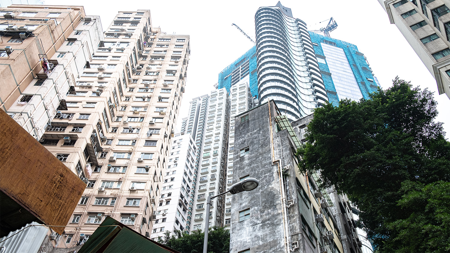 Florian Mehnert, honkong